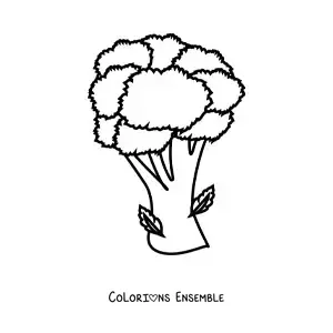 Image à colorier d’un brocoli avec des feuilles