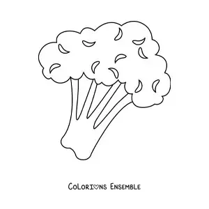 Image à colorier d’un brocoli tout simple