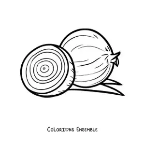 Image à colorier d’un oignon et de la moitié d’un autre