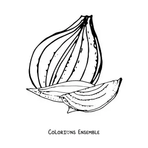 Image à colorier de morceaux d’oignon