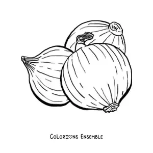 Image à colorier de 3 oignons