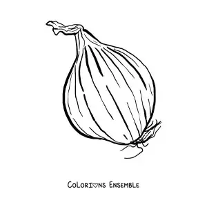 Image à colorier d’un gros oignon