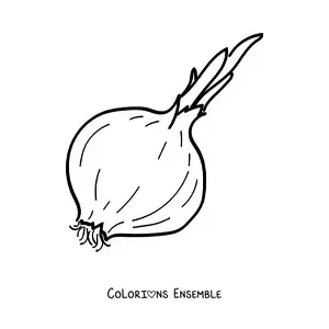 Image à colorier d’un oignon rouge