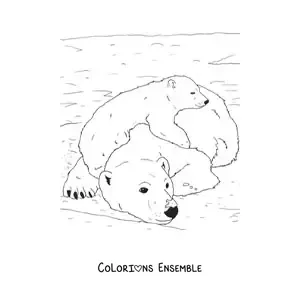 Image à colorier d’ours polaires réalistes