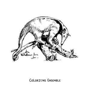 Image à colorier d’un fourmilier réaliste