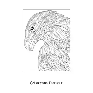 Mandala de faucon à colorier