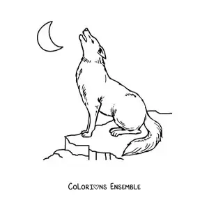 Image à colorier d’un loup assis sur un rocher hurlant à la lune