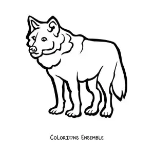 Image à colorier d’un loup