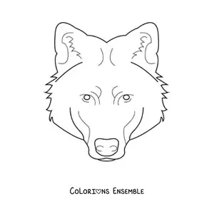 Image à colorier d’une tête de loup sauvage