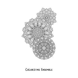 Image à colorier de mandalas dans le style Zentangle