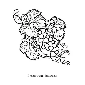 Image à colorier de raisins sur la vigne