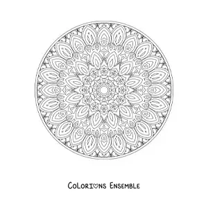 Coloriage d'un mandala relaxant pour adultes