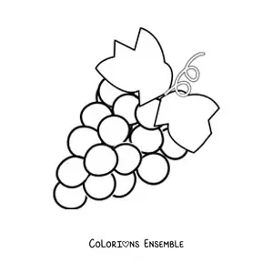 Image à colorier d’une grappe de raisins avec deux feuilles