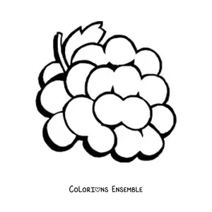 Image à colorier d’une grappe de raisins