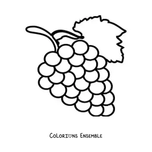 Image à colorier d’une grappe de raisins avec une feuille