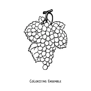 Image à colorier d’une grappe de raisins avec trois feuilles