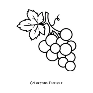 Image à colorier d’une petite grappe de raisins avec une grande feuille
