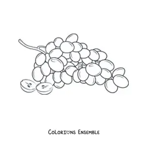 Image à colorier d’une grappe de raisins avec un grain coupé