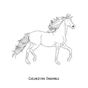 Image à colorier d’une licorne au galop