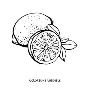 Image à colorier d’un citron entier et d’un demi-citron