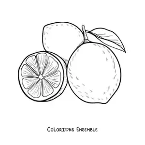 Image à colorier de deux citrons entiers et d’un demi-citron