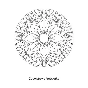 Image à colorier d'un mandala circulaire facile avec une fleur