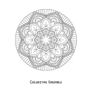 Image à colorier d'un mandala circulaire facile avec des fleurs