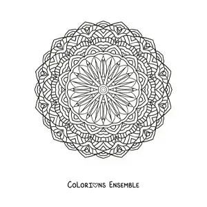 Image à colorier d'un mandala circulaire avec des fleurs