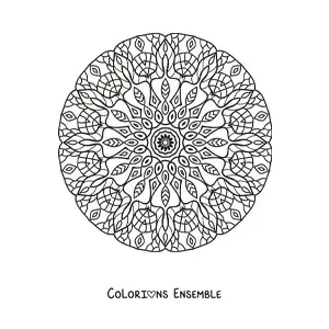 Image à colorier d'un mandala circulaire pour adultes