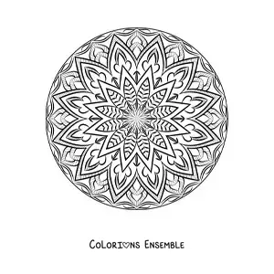 Image à colorier d'un mandala circulaire abstrait