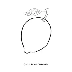 Image à colorier d’un citron entier avec une feuille