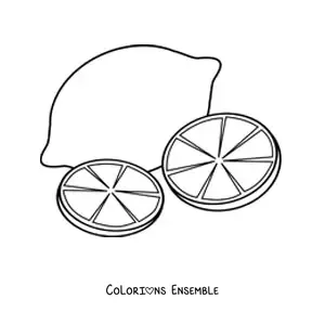 Image à colorier d’un citron et de deux rondelles de citron