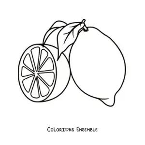 Image à colorier d’un citron avec une feuille et d’un demi-citron