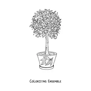 Image à colorier d’un citronnier dans un pot