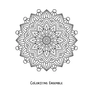 Image à colorier d'un mandala indien pour adultes