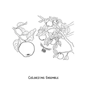 Image à colorier d’un pommier avec des pommes et des abeilles qui volent