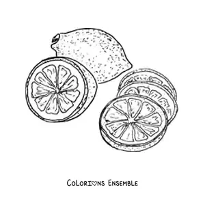 Image à colorier d’un citron entier et de plusieurs rondelles de citron