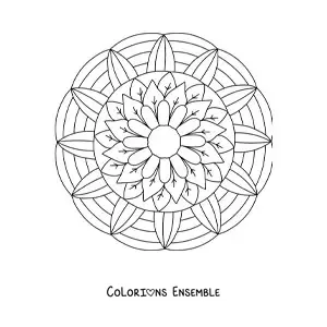 Image à colorier d'un mandala de fleurs et de feuilles