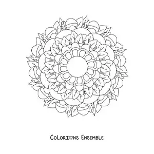 Image à colorier d'un mandala de fleurs et de feuilles