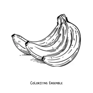 Image à colorier d'un régime de bananes réaliste
