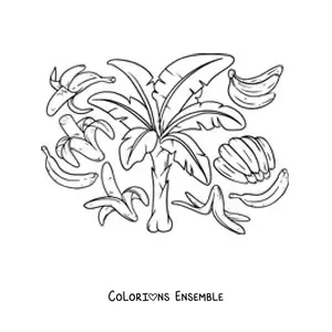 Image à colorier de plusieurs bananes et d'un bananier