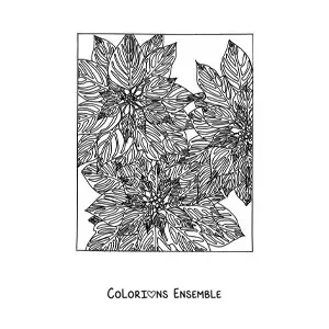 Image à colorier de fleurs de Noël