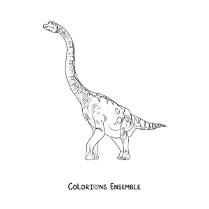 Image à colorier d’un Brachiosaurus herbivore géant