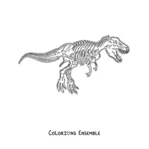 Image à colorier d’un squelette de tyrannosaure rex