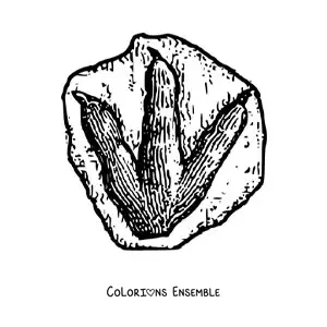 Image à colorier d’une empreinte de dinosaure
