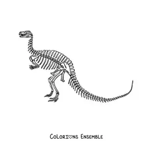 Image à colorier d’un squelette de dinosaure