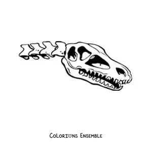 Image à colorier d’un crâne de dinosaure