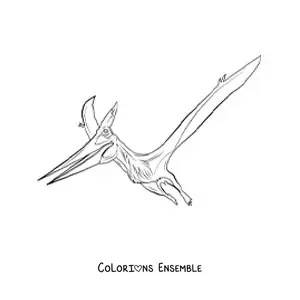Image à colorier d’un ptérodactyle réaliste