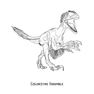 Image à colorier d’un deinonychus carnivore