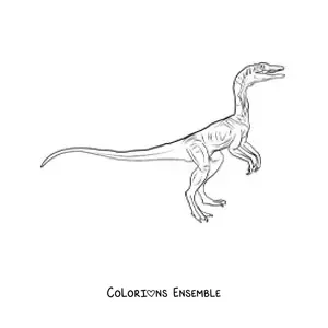 Image à colorier d’un petit dinosaure carnivore réaliste